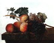 John Johnston Still Life with Fruit fhf oil painting reproduction